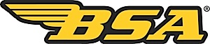 Bsa