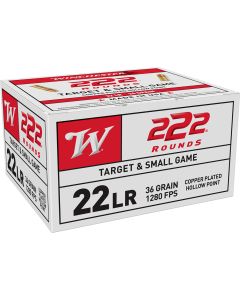 Winchester Ammo 22LR222HP USA22LR 36gr Copper Plated Hollow Point 222 Per Box/10 Case