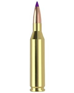 Nosler 40041 243Win 70gr Ballistic Tip Varmint 20 Per Box/10 Case