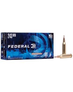 Federal 243B Power-Shok243Win 100gr Jacketed Soft Point 20 Per Box/10 Case