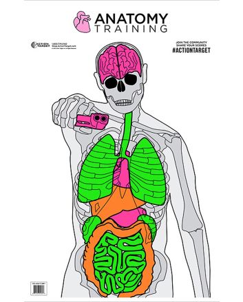 Action Target GSANATOMY100 Entertainment Training Silhouette/Vitals Paper Target 23" x 35" 100 Per Box