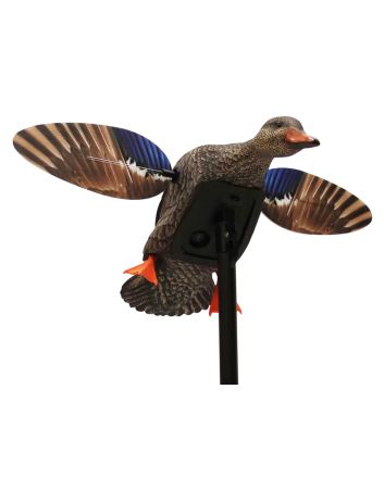 Mojo Outdoors HW24713P Elite Series Mini Hen Mallard Species, Multi Color, Plastic, Features Remote Control