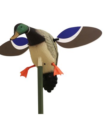 Mojo Outdoors HW4401 Baby Mojo Drake Mallard Species Multi Color Synthetic