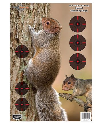 Birchwood Casey 35406 PregameSquirrel Paper Hanging Rifle 12" x 18" Impact Enhancement 8 Per Pkg