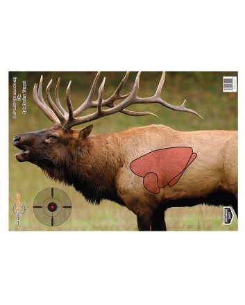 Birchwood Casey 35404 PregameElk Paper Target 16.50" x 24" 3 Per Pkg