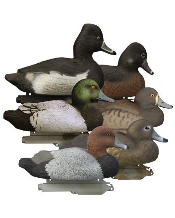 Higdon Outdoors 19994 Standard Diver PackBluebill/Redhead/Ringneck Species Multi Color Foam Filled 6 Pack