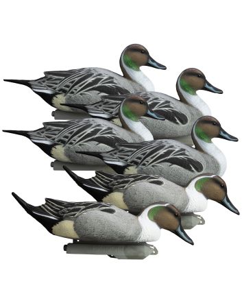 Higdon Outdoors 16544 Battleship Pintail Pintail Species Multi Color Foam Filled 6 Pack
