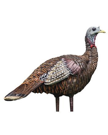 Avian X AVXAVX8006 LCD Lookout Hen Turkey Species Multi Color Dura-Rubber