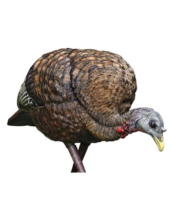 Avian X AVXAVX8007 LCD Feeder Hen Turkey Species Multi Color Dura-Rubber