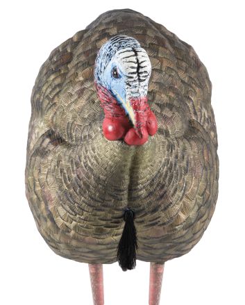 Avian X AVXAVX8012 LCD Half-Strut Jake Turkey Species Multi Color Dura-Rubber