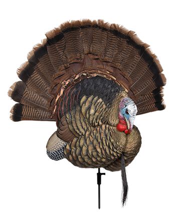 Avian X AVXAVX8021 Trophy TomTurkey Species Multi-Color *No Fan