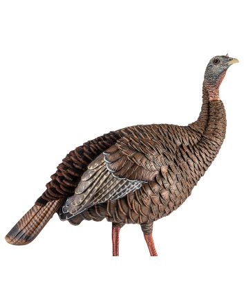 Avian X AVXAVX8106 HDR Hen Turkey Species Multi Color