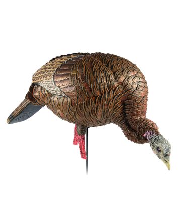 Avian X AVXAVX8107 HDR Feeder Hen Turkey Species Multi-Color