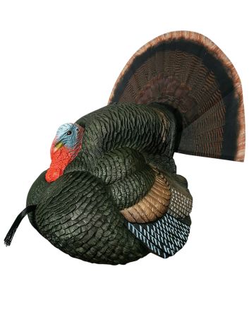 Primos 69076 Lil' Gobblestopper Strutter Box Call Turkey Sounds