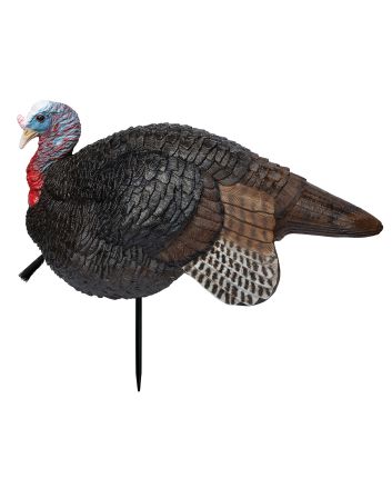 Primos 69074 Lil' Gobstopper Jake Turkey Species Multi Color