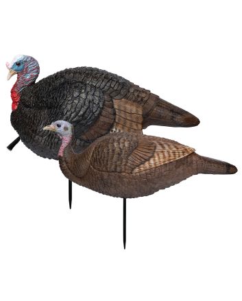 Primos 69075 Lil' Gobblestopper Jake &amp; Hen Combo Turkey Species Multi Color