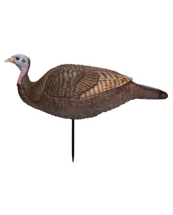 Primos 69073 Lil Gobstopper Hen Turkey Species Multi Color