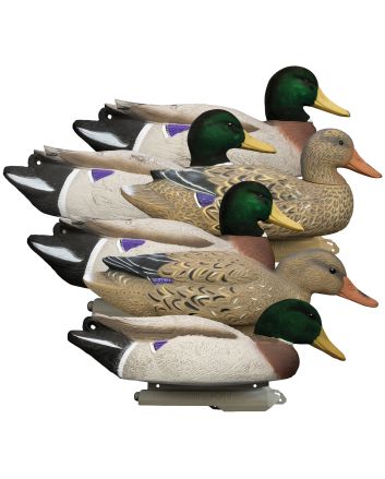 Higdon Outdoors 16034 BattleshipOversized Mallards Species Multi Color Foam Filled Features Flocked Heads 6 Pack