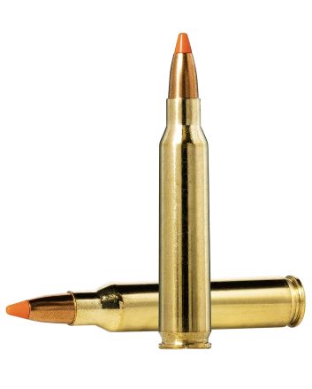 Norma Ammunition 20157352 Dedicated Hunting Varmint 223Rem 55gr Polymer Tip 20 Per Box/10 Case