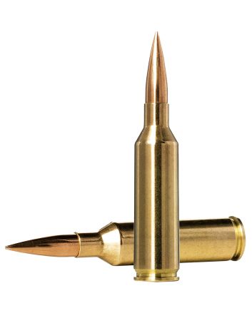 Norma Ammunition 10166462 Dedicated Precision Golden Target Match 6.5PRC 143gr Hollow Point Boat Tail 20 Per Box/10 Case