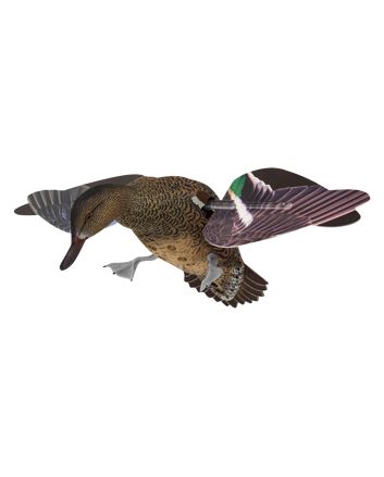 Avian X AVXPFLHT PowerFlight Hen Green-Winged Teal spinning wing decoy