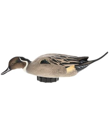 Avian X AVXPSHPNSF Power ShakerPintail Surface Feeder Duck Decoy Multi-Color