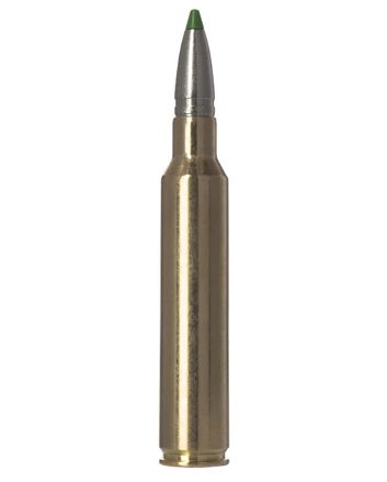 Norma Ammunition 20177772Ecostrike 300PRC 165gr 20 Per Box/10 Case