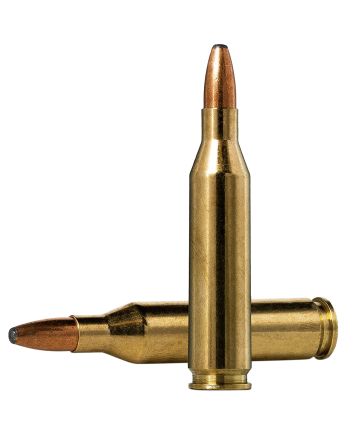 Norma Ammunition 20160332 Oryx243Win 100gr 20 Per Box/10 Case