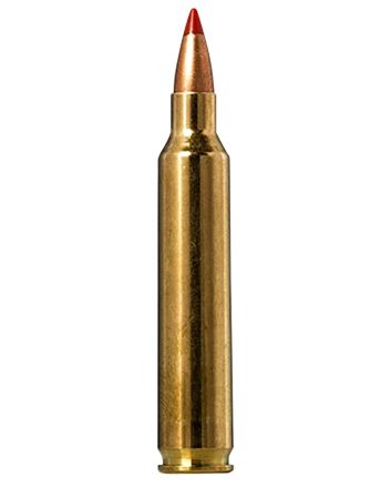 Norma Ammunition 20156502Tipstrike 204Ruger 40gr V-Max 20 Per Box/10 Case