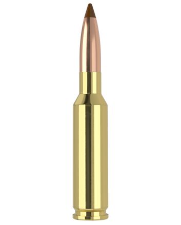 Nosler 61053 6.5x55Swedish 140gr Ballistic Tip 20 Per Box/10 Case