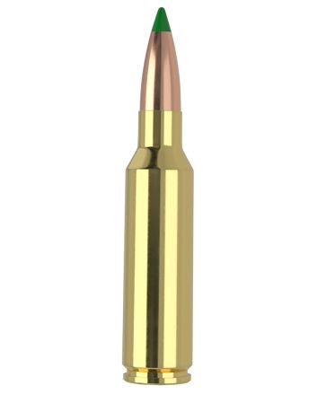 Nosler 61035 300WSM 165gr Ballistic Tip 20 Per Box/10 Case