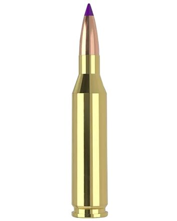 Nosler 40041 243Win 70gr Ballistic Tip Varmint 20 Per Box/10 Case
