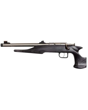 Chipmunk 40103 HunterYouth Frame 22 LR Single Shot 9" Threaded Stainless Steel Barrel, Black Laminate Frame