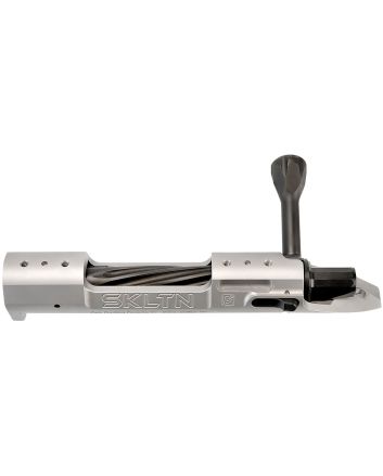P2 IN-00285 SKLTN LA LH STANDARD TI