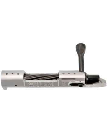 P2 IN-00287 SKLTN SKLTN SA RH STANDARD TI