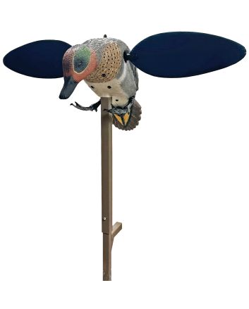 MOJO HW2555 GREEN WING