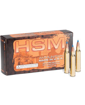 HSM 204R3N 204Ruger 32gr BlitzKing 20 Per Box/20 Case