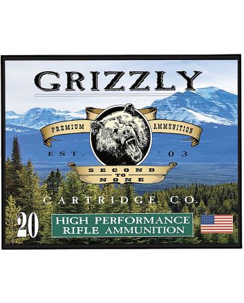Grizzly Ammo GCSUB1 45-70Gov 410gr Full Metal Jacket Flat Point 20 Per Box/10 Case