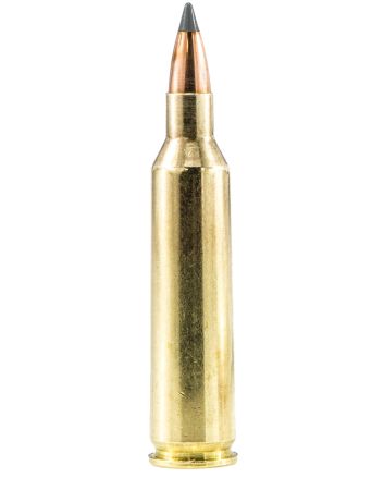 Sig Sauer E223V120 Elite Hunting Varmint &amp; Predator 223Rem 40gr Extreme Expansion Tip 20 Per Box/10 Case