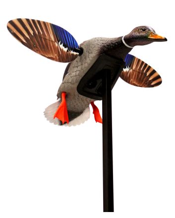 Mojo Outdoors HW24703P Elite Series Mini Mallard Drake Species Multi Color Plastic