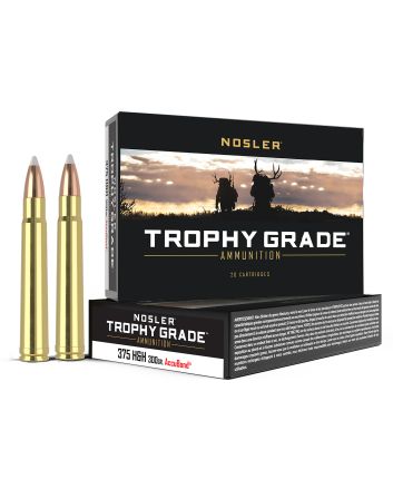 Nosler 60070 Trophy Grade375H&amp;HMag 300gr Nosler AccuBond 20 Per Box/10 Case