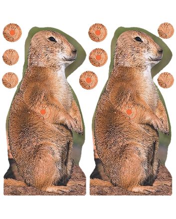 Birchwood Casey 34786 Shoot-N-C Reactive Target Self-Adhesive Paper Brown 8" Prairie Chuck 12 Pack