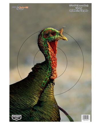 Birchwood Casey 35403 PregameTurkey Paper Hanging Universal 12" x 18" Multi-Color 8 Per Pkg