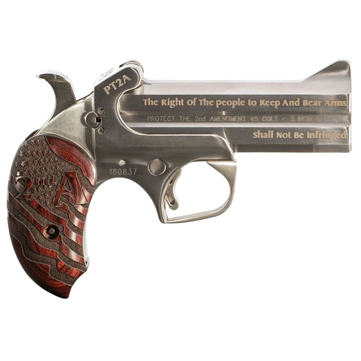 Bond Arms PT2A Protect the 2nd Amendment Derringer Single 45 Colt (LC)/410 Gauge 4.25" 2 Round Stainless Steel