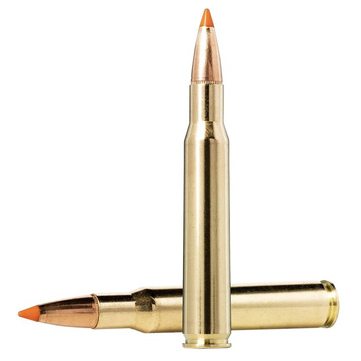 Norma Ammunition 20174342 Dedicated Hunting Tipstrike 30-06Springfield 170gr Polymer Tip 20 Per Box/10 Case