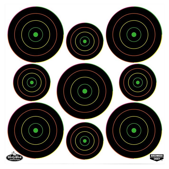 Birchwood Casey 35828 Dirty BirdBullseye Tagboard Hanging Pistol/Rifle Black/Green 20 Per Pkg