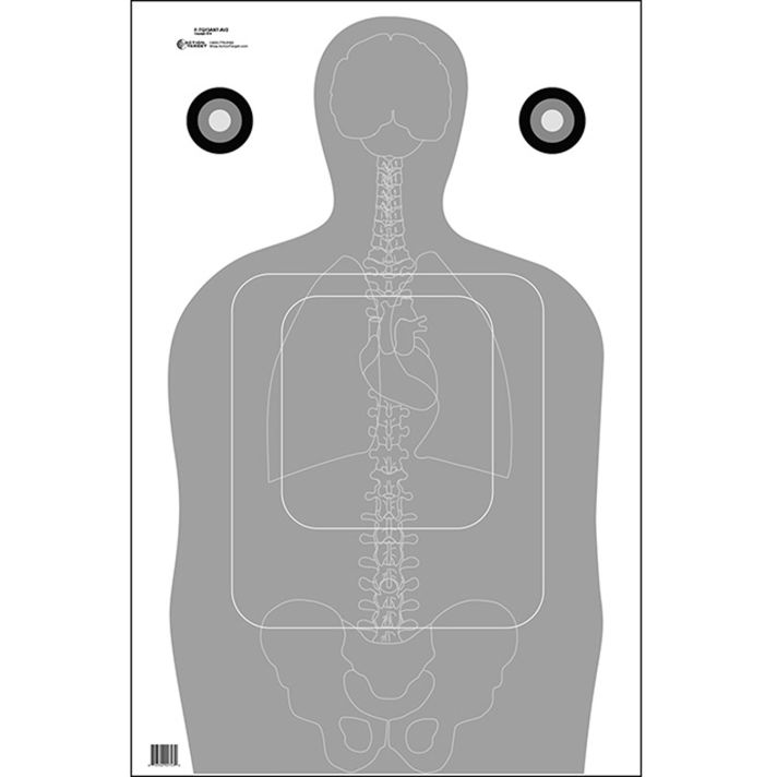 Action Target FTQ15ANTAV2100 QualificationSilhouette/Vitals Paper 23" x 35" Gray/White 100 Per Box