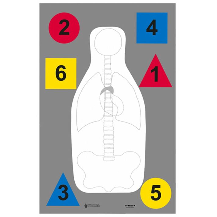 Action Target DTANTQA100 Training Multi-Purpose Silhouette Paper Hanging 23" x 35" Multi-Color 100 Per Box