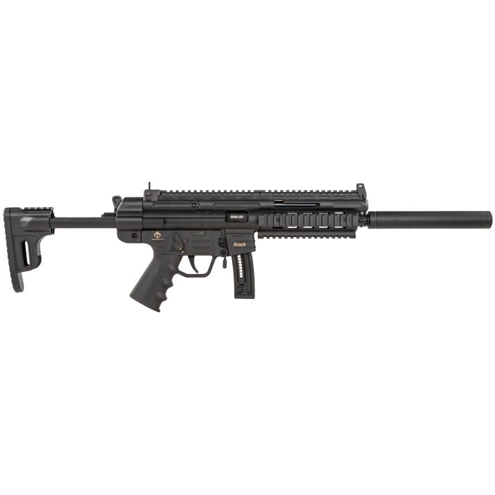 GSG GSGGERGGSG1610 GSG-16 *CA Compliant Full Size 22 LR 10+1 16.25" Black Black Polymer Receiver Black Collapsible w/Storage Compartment Stock Right Hand