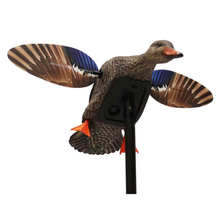 Mojo Outdoors HW24713P Elite Series Mini Hen Mallard Species, Multi Color, Plastic, Features Remote Control